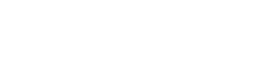 Vizista