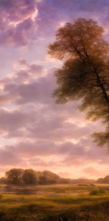 calming landscapes3 calming landscapes3